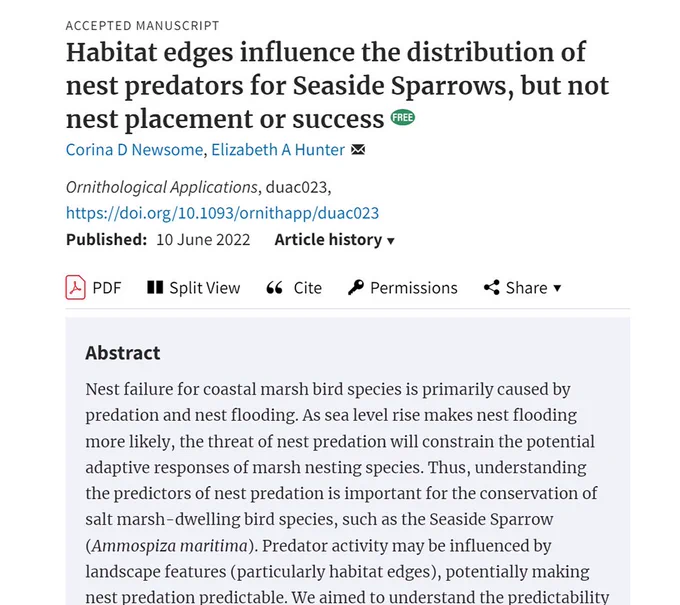 Screenshot of the title and abstract of my publication:

ACCEPTED MANUSCRIPT
Habitat edges influence the distribution of
nest predators for Seaside Sparrows, but not
nest placement or success 
By 
Corina D Newsome, Elizabeth A Hunter

Abstract
Nest failure for coastal marsh bird species is primarily caused by
predation and nest flooding. As sea level rise makes nest flooding
more likely, the threat of nest predation will constrain the potential
adaptive responses of marsh nesting species. Thus, understanding
the predictors of nest predation is important for the conservation of
salt marsh-dwelling bird species, such as the Seaside Sparrow
(Ammospiza maritima). Predator activity may be influenced by
landscape features (particularly habitat edges), potentially making
nest predation predictable. We aimed to understand the predictability…