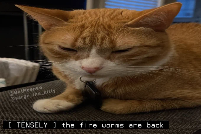 Sarge sits on a cushion, squinting as though struggling to weather loud noises.

Tone word: TENSELY
Caption: the fire worms are back