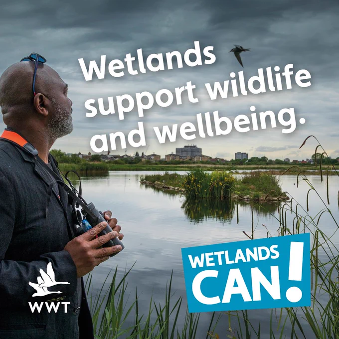 The Urban Birder, David Lindo, watching a bird fly over WWT London Wetlands Centre. The text in the background reads 'Wetlands support wildlife and wellbeing'.