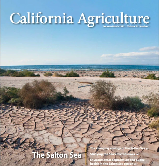 We're #hiring a Director of Publishing based in #Davis who will manage all phases of academic peer-review, editorial planning, and production for California Agriculture journal.

Share with your networks! #CommJobs #PublishingJobs 
https://bit.ly/3P8R2xc