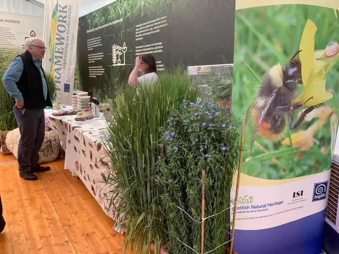 SEAMS and Buglife Scotland displays
