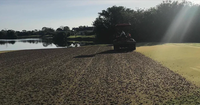 Deep tine aeration of greens.