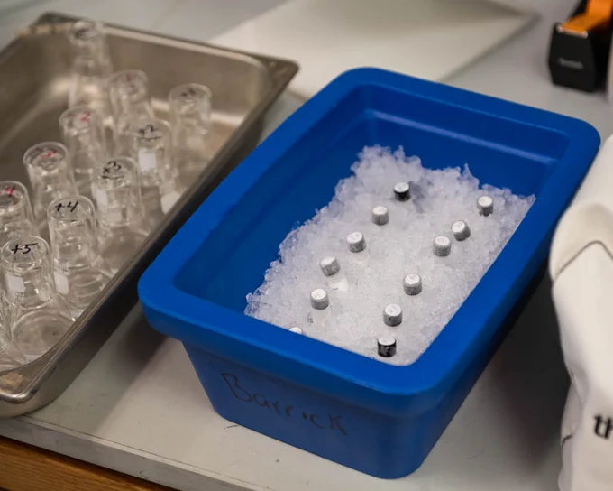 Long-term evolution experiment (LTEE) samples in ice in a blue bin labeled "Barrick"