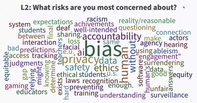 Word cloud. Text that says, "What risks are you most concerned about?' Prominent words in the word cloud include, 'bias, accountability, privacy, human'