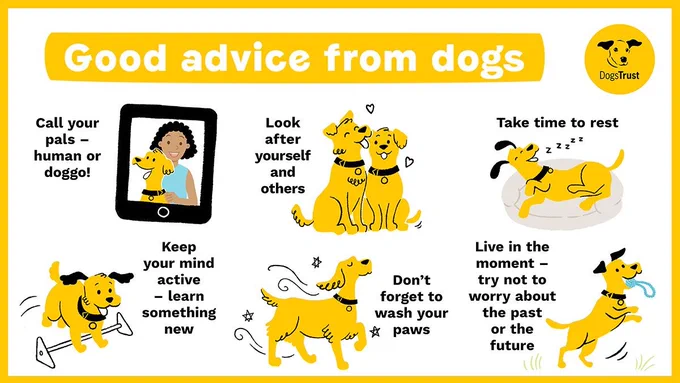 Call your pals - human or doggo! Look after yourself and others. Take time to rest. Keep your mind active - learn something new. Don't forget to wash your paws. Live in the moment - try not to worry about the past or the future.