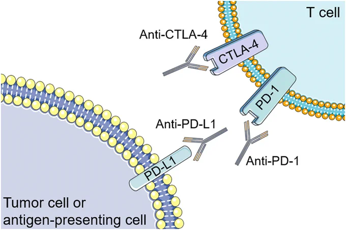 Schematic representation of the mechanism of action of immune-checkpoint inhibitors (ICIs)