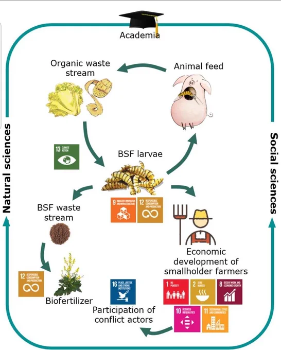 In this course we will approach these themes with an interdisciplinary approach, combining biology, animal science, ethics and economics. International experts on the different disciplines will provide input for knowledge exchange and discussions on the topic of insects as feed component for a sustainable and circular food production.