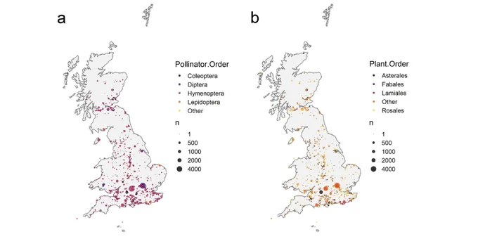 Maps of the geographical coverage of the (a) pollinator and (b) plant records held by the Database of Pollinator Interactions. The size of the circles represents the number of records from each location