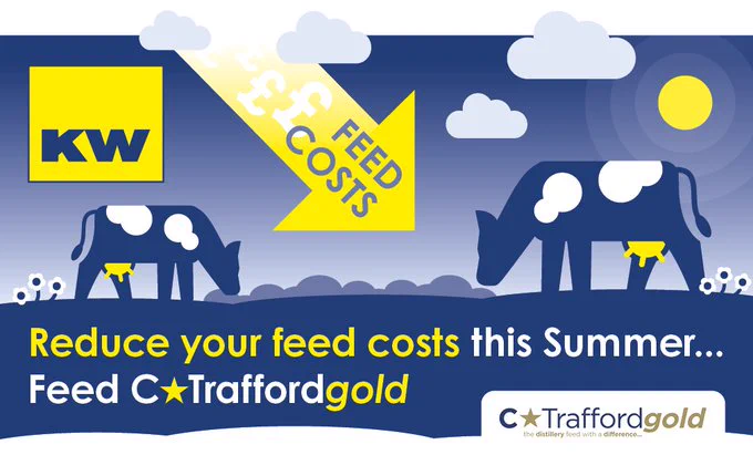 🔽Reduce your feed costs this summer with C☆Traffordgold®.Capable of replacing a significant proportion of conventional #compoundfeed in the diet,without affecting performance,#SACtrials have shown. 
https://bit.ly/3AwV5zw #animalfeed #beefindustry #feedinnovator #traffordgold