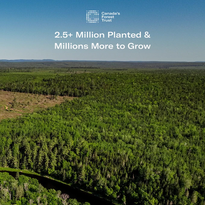 2.5 million planted and millions more to grow 
