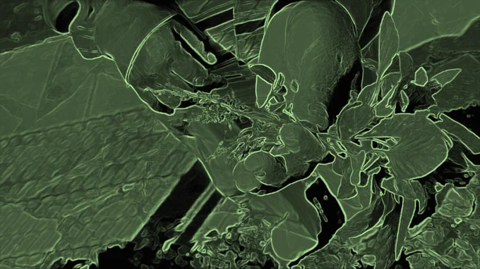 Stylised green image of two hands holding a flower stem
