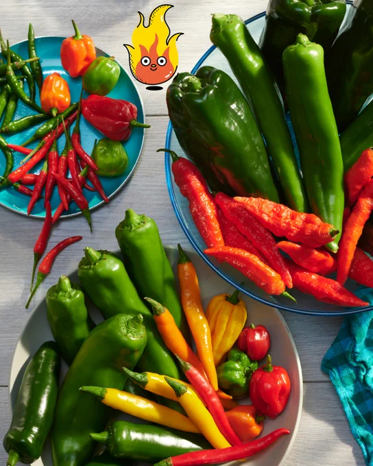 3 bowls full of green, yellow and red hot peppers of varying sizes.