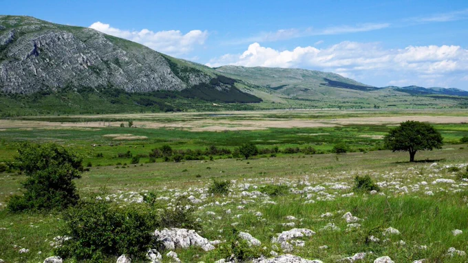 Un proyecto europeo para restaurar los humedales