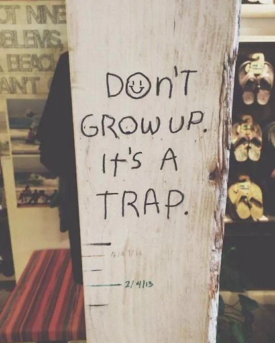 Dont grow up. It's a trap - #Anonymous via @Kaslako36490226