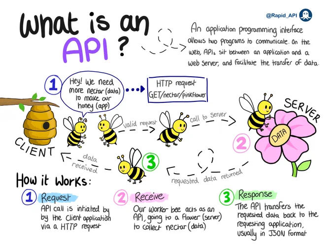 What is an API?