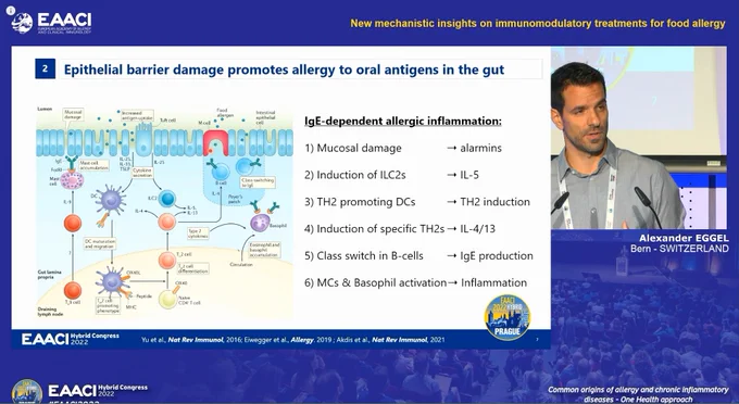Epithelial barrier damage promotes allergy to oral antigens in the gut