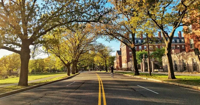 a single cyclist riding down a wide city street that is free of cars on a sunny day