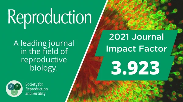 REP Impact Factor