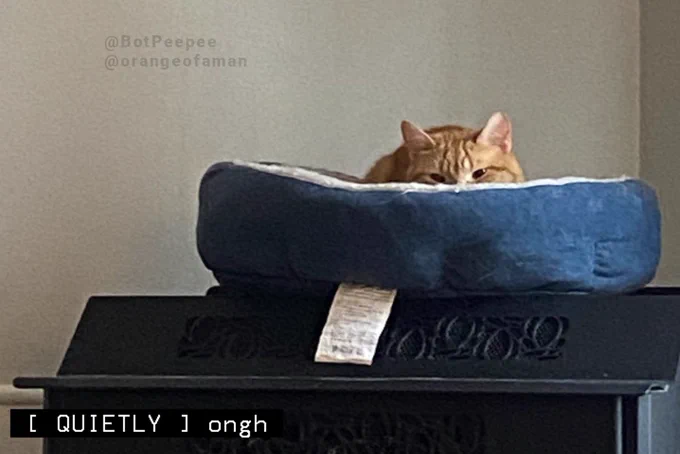 Elton the orange cat peeks up over the wall of a blue cat bed, which rests atop a black metal appliance.

Tone word: QUIETLY
Caption: ongh