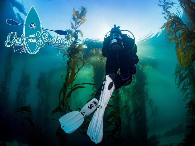 A scuba diver in an underwater kelp forest with the words "Get Into Your Sanctuary".