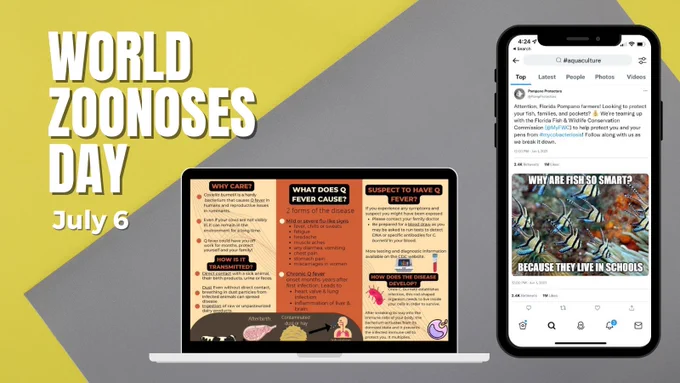 World Zoonoses Day featuring communications projects by Colleen Sorge, D.V.M. ’24 and partner Vivian Lee, D.V.M. ’24, and a brochure about Q fever.