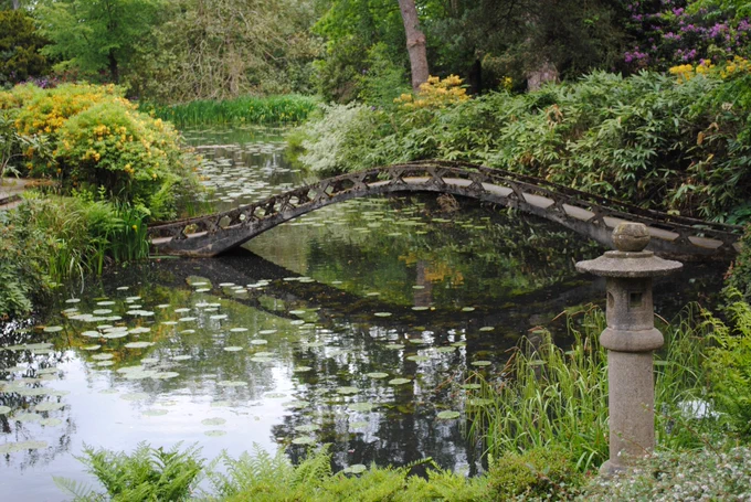 Bridge over the pond in the Japanese Garden at Tatton Park