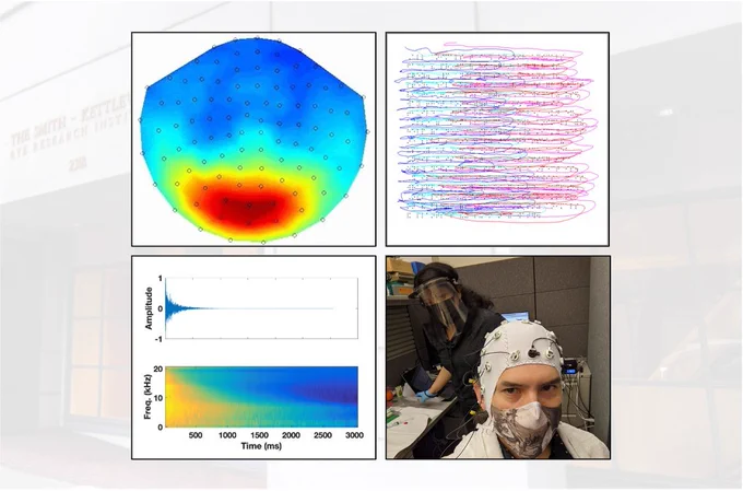 A collage with four panels showing a decoding map of MEG data, finger trajectories of a braille reader, acoustic impulse response waveform and spectrogram, and a photo of a face-shielded experimenter preparing a masked EEG participant.