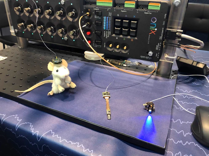 The Open Ephys ONIX system can simultaneously acquire from multipurpose headstages, neuropixels probes, and UCLA miniscopes all with torque-free commutation.
