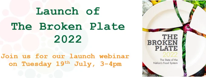 Broken Plate report webinar invitation