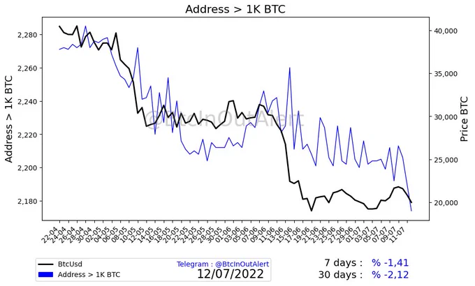 Address distribution in Bitcoin - Address > 1.000 BTC