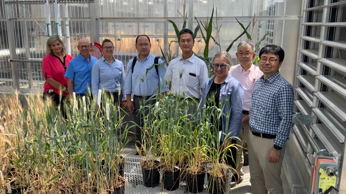 8 people stand for a formal photo in a greenhouse in front of several wheat plants in planters.
