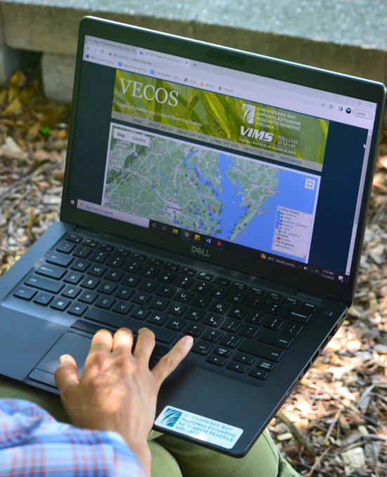 CBNERR-VA staff exploring their website for water quality data. 