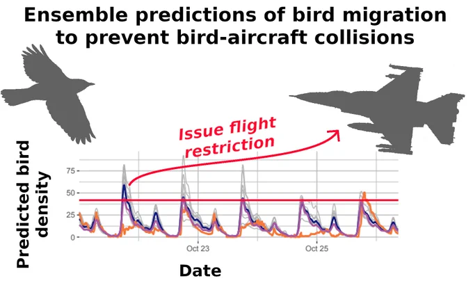 Graph showing ensemble predictions of bird migration to prevent bird-aircraft collisions