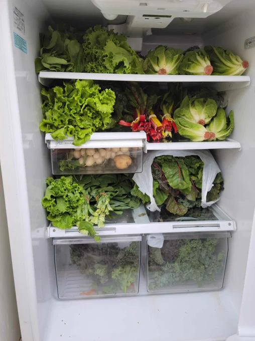 Fresh vegetables in the fridge from farmers at Landsdowne Market