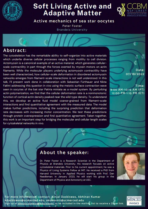 Please join us for the next SLAAM seminar on Monday, July 18 (9 am PT/12 noon ET). This seminar will be given by Dr. Peter Foster (Brandeis University).
Title: "Active mechanics of sea star oocytes".
@pjfoster  @USC_Physics  