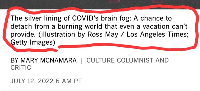 Screenshot of photo caption on LA Times Column, which reads: "The silver lining of COVID’s brain fog: A chance to detach from a burning world that even a vacation can’t provide"