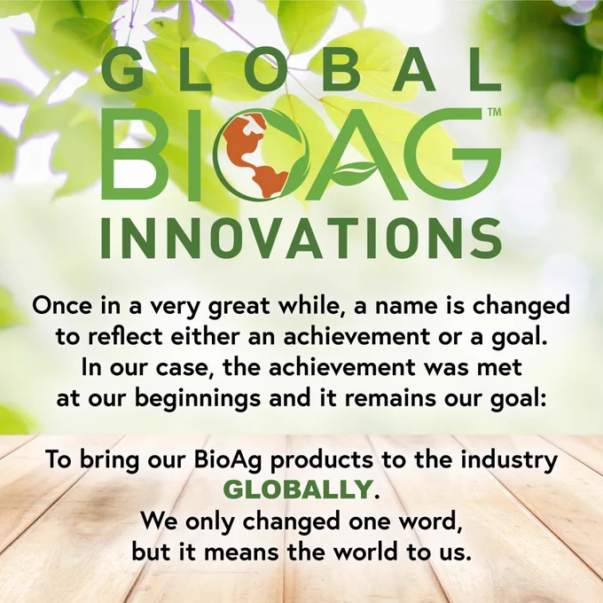 Global BioAg Innovations logo. a planked table and tree branches/leaves in the background

