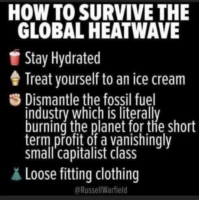 Advice on “how to survive the global heatwave” including “Dismantle the fossil fuel industry”