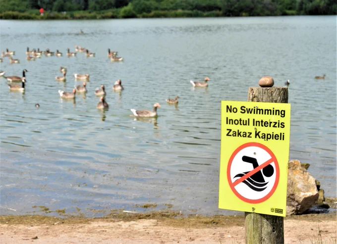 "No Swimming" sign at Colwick Country Park