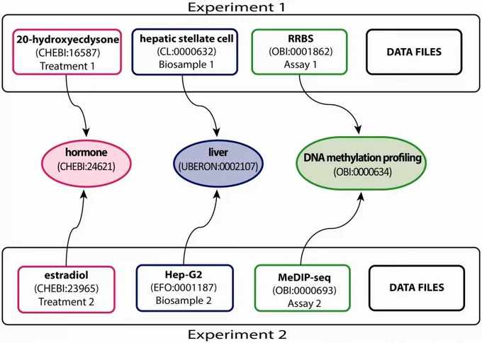 Figure 2 from Ontology application and use at the ENCODE DCC (PMC4360730), showing how the ENCODE schema uses different ontologies like OBI, Uberon, and CHEBI in different contexts