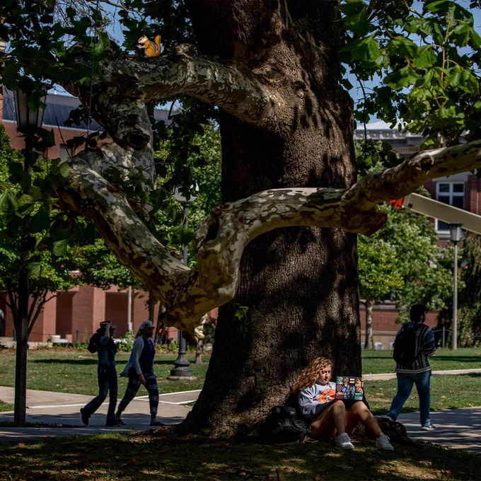 A student sits by a tree with an emoji squirrel
