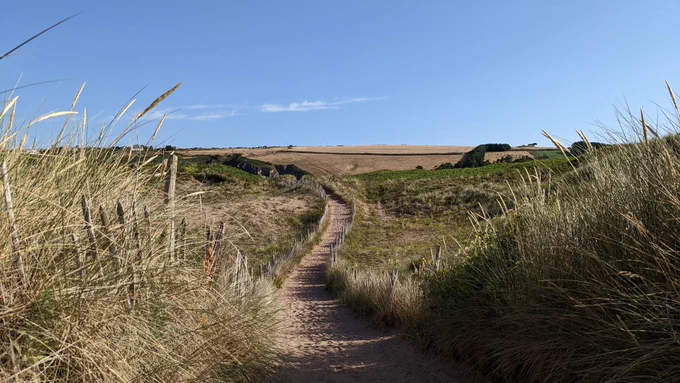 Beach path over dunes to start of the swim