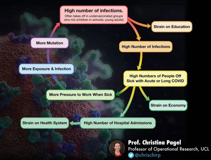 Feedback loop digram illustrating how we maintain a high number of COVID infections.

At the top: a high number of infections often takes off in under-vaccinated groups who mix (children in schools; young adults) this leads to Educational Strain and a High Number of Infections.

This High number of infections leads to High numbers of people off sick with acute or long COVID, and from this we get three effects of a Strain on Economy, a High Number of Hospital admissions, and More pressure to work when sick.

A High Number of Hospital admissions leads to Strain on the Health System.

To complete the loop, from More Pressure to Work When Sick there is More Exposure and Infection, and then More mutation, which leads back to the High number of infections at the top of the diagram.