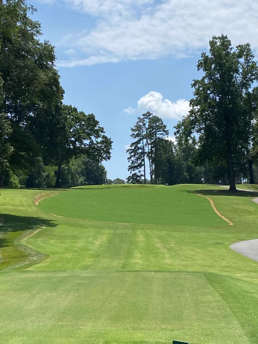 6 days after installation before 1st mowing.  Notice Tifway 419 sod ring around compared to Tahoma 31.
