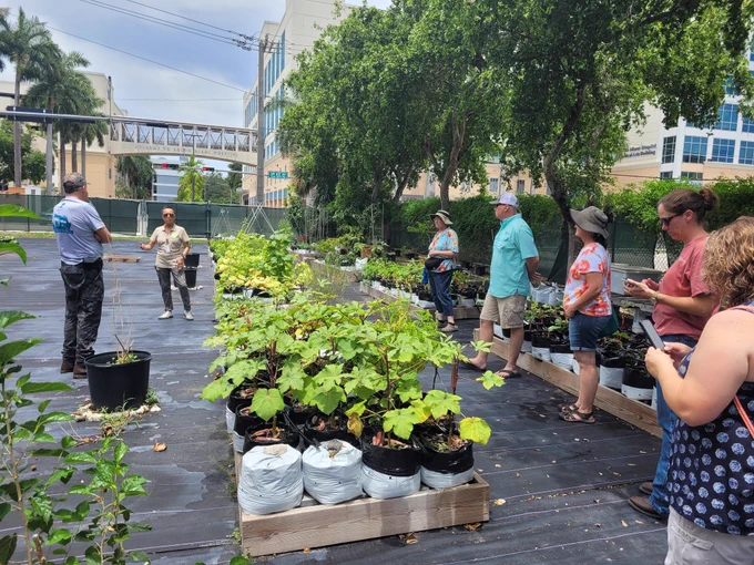 Tour participants learning about seasonal crops grown in garden