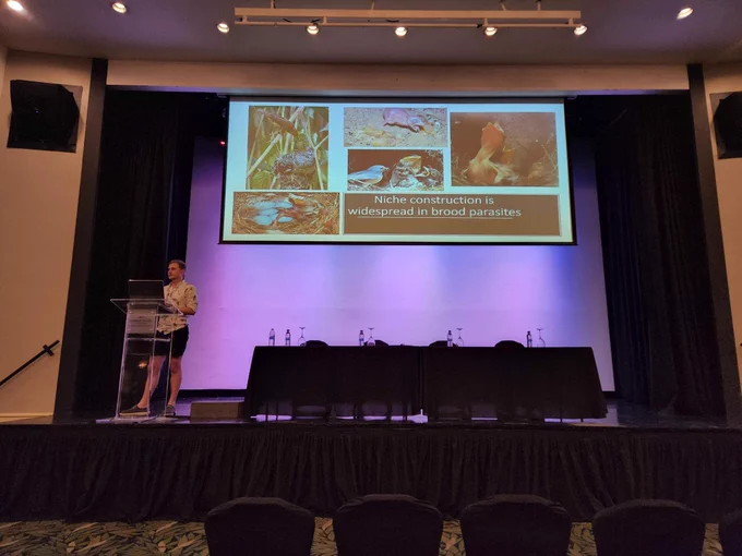 Me presenting in the Allee Symposium at the Animal Behavior Society meeting in San Jose Costa Rica on July 21st 2022