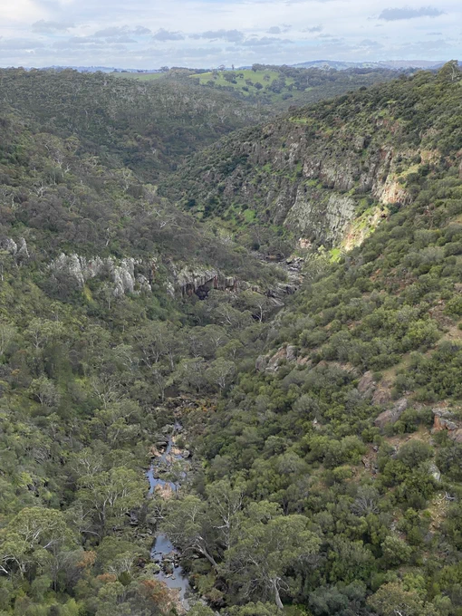 A deep, wooded gorge with glimpses of a river far below. It is overcast, but a strip of sunlight illuminates part of a cliff face on one side of the valley.