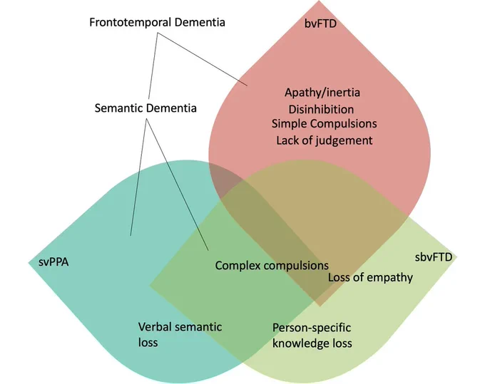 Schematic representation of the clinical symptom overlap in frontotemporal dementia (FTD) between semantic behavioral variant frontotemporal dementia (sbvFTD) and semantic variant primary progressive aphasia (svPPA) (both under the semantic dementia spectrum and often have FTLD-TDP-C pathology) and behavioral variant frontotemporal dementia (bvFTD).