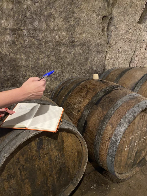 Prise de notes avec les barriques en guise de bureau  lors de la dégustation des vins vivants d’Alexandre Giquel