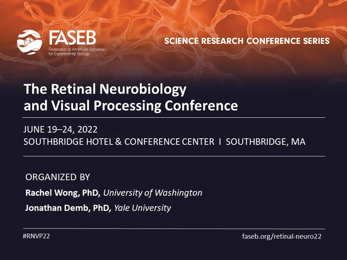 Conference sessions will present the latest research and foster discussion on:
Retinal development
Cell structure and function
Synaptic and circuit processing
Computational vision
Retinal dysfunction and repair
